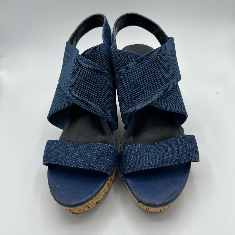 Charles David Women Blue Wedge Sandal US 8.5